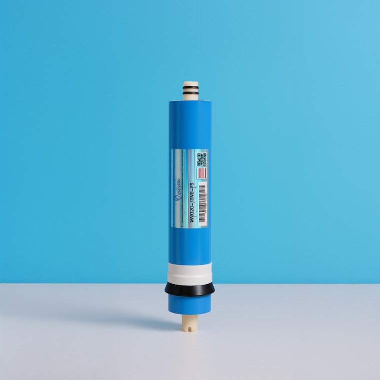 WhatsApp Image 2026-03-04 at 11.20.09 AM فلتر ممبرين